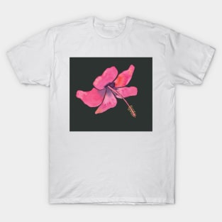Pink Tropical Hibiscus Watercolor Illustration with a gray background T-Shirt